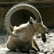 Profile Picture of Jerel Smith (@jerelsmith7357) on Youtube