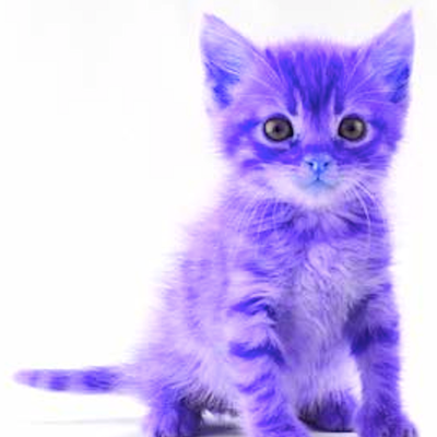 Profile Picture of Richard Drewyor (@RDrewyor) on Twitter