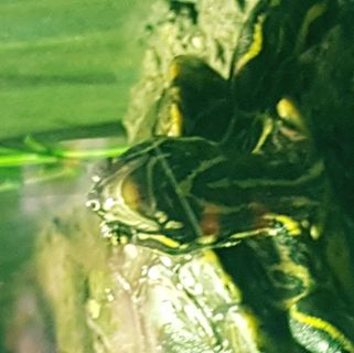 Profile Picture of Jacob Ruch (@jacob.ruch.5) on Facebook