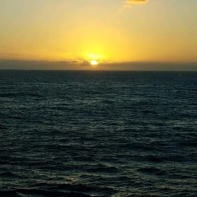 Profile Picture of Josh Branstetter (@ufjcb) on Twitter