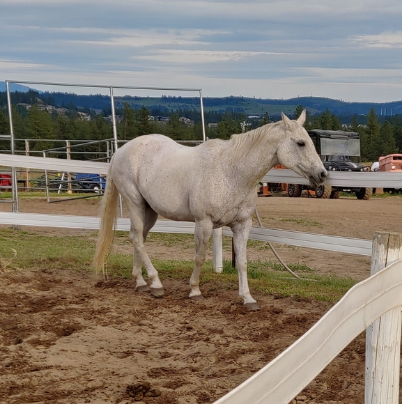 Profile Picture of Howells Ranch (@howellsranch) on Poshmark