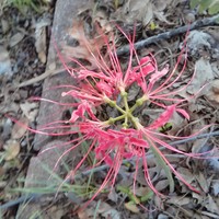 Kannan Ramanathan - Quora Profile Picture of Kannan Ramanathan (@kannan-ramanathan-2) on Quora