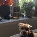 Profile Picture of Bruce Pipkin (@bruce.pipkin.18) on Facebook