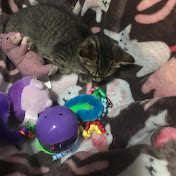 Profile Picture of Iris Flood (@Irly__) on Youtube