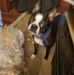 Profile Picture of Denise Tinker (@denise.tinker.54) on Facebook