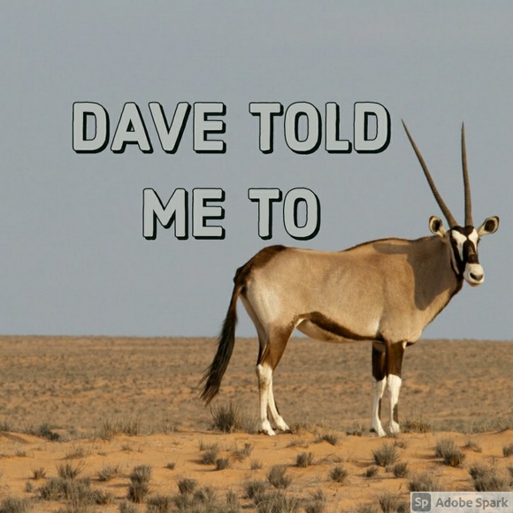 Profile Picture of Sammie Crafford (@davetoldmeto) on Poshmark