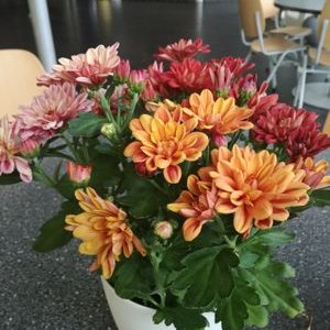 Profile Picture of Andy Melian (@AndyMel45566080) on Twitter