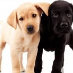 Profile Picture of Robin Alster (@robin.alster.75) on Facebook