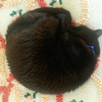 Profile Picture of Victor Reynolds (@victor-reynolds-3) on Quora