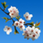 Profile Picture of Zane Ouvre Le Chien (@zane ouvre le chien) on Flickr