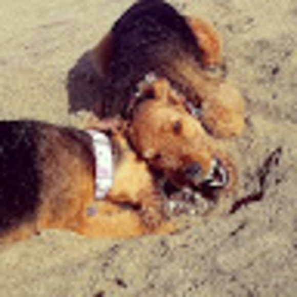 Profile Picture of Kari Radojevic (@shuluvkari) on Poshmark