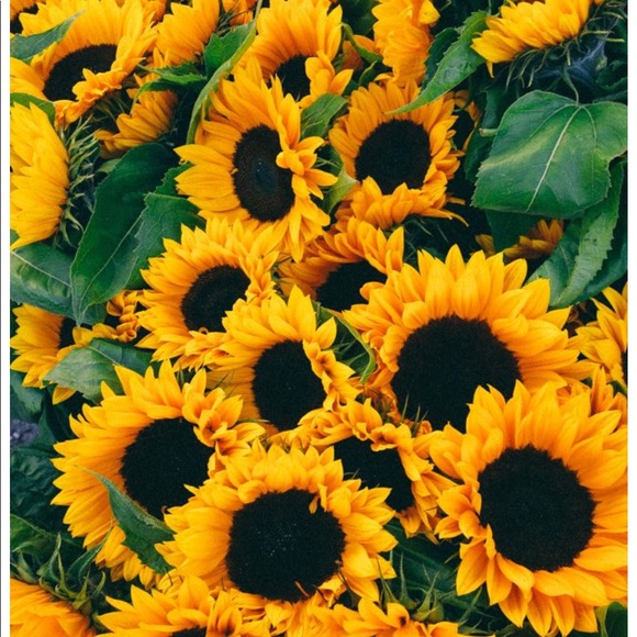 Profile Picture of Mia Tayloe (@itsyagirlmia121) on Poshmark