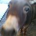 Profile Picture of Ali Pearson (@ali.pearson.106) on Facebook