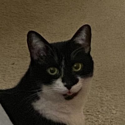 Profile Picture of Dick Breath 🍇 (@peepeescilla) on Twitter