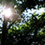 Profile Picture of Shen-Yang Pan (@Shen-Yang Pan) on Flickr