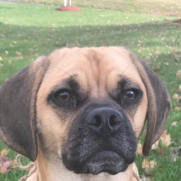 Profile Picture of Anna Digiovine (@annadigi) on Poshmark