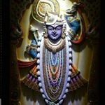 Profile Picture of paresh  Trivedi (@rajgor_presh) on Instagram