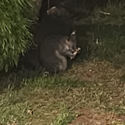 Profile Picture of Daniel Harman (@danielharman3372) on Youtube