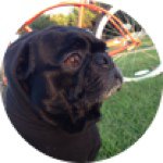 Profile Picture of Jeffrey Sandoval (@sandymcsands) on Instagram