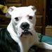Profile Picture of Terrance Obrien (@terrance.obrien.509) on Facebook