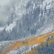 Profile Picture of Allen Scott Montgomery (@allenscottmontgomery3929) on Youtube