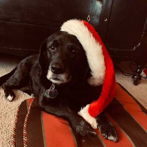 Profile Picture of Emma Hurtgen (@emmarosehurtgen) on Poshmark