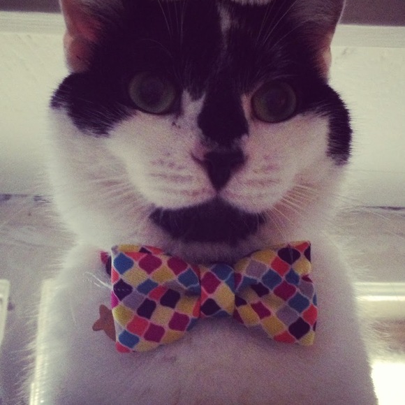 Profile Picture of Phea Bea (@pheabea) on Poshmark