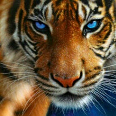 Profile Picture of A Drew Dailey (@Bailey64Drew) on Twitter