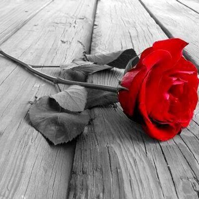 Profile Picture of Aleksandar Rodic (@AlexrodicRodic) on Twitter