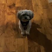 Ava Long - Youtube Profile Picture of Ava Long (@avalong9224) on Youtube