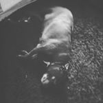 Profile Picture of Taylor James Coombs (@tjcoombs1907) on Instagram