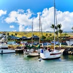 Profile Picture of LuAnn Cannon (@LuAnn-Cannon) on Facebook