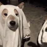 Profile Picture of Zachary Horton (@zachary.h8) on Instagram