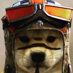 Profile Picture of dylan (@jonkerfamily2813) on Instagram