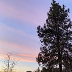 Profile Picture of Julian Rennie (@julian.rennie.5) on Facebook