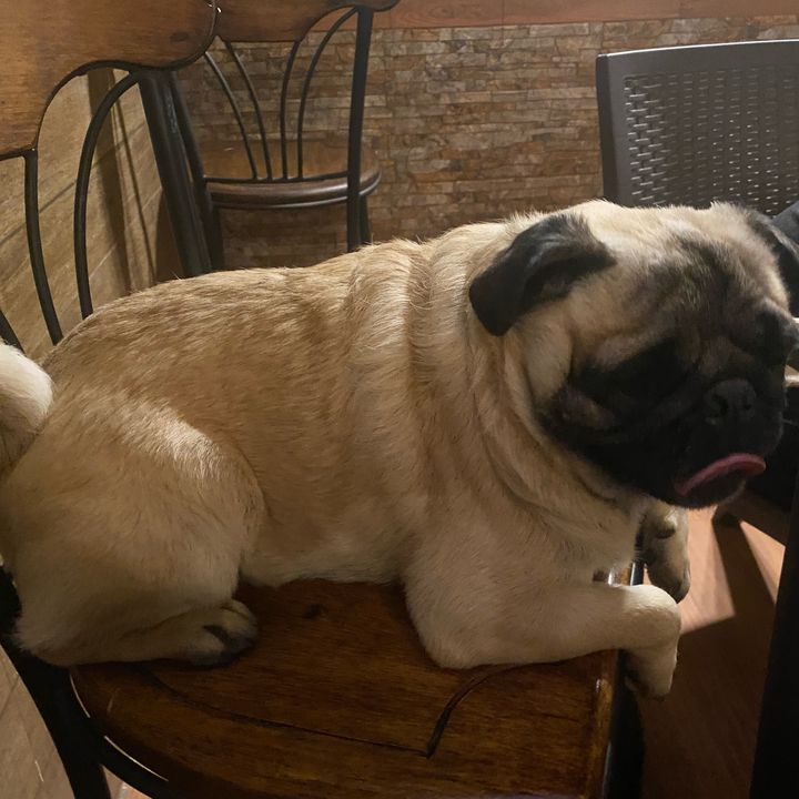 Profile Picture of Carl Laser (@carllaser) on Tiktok