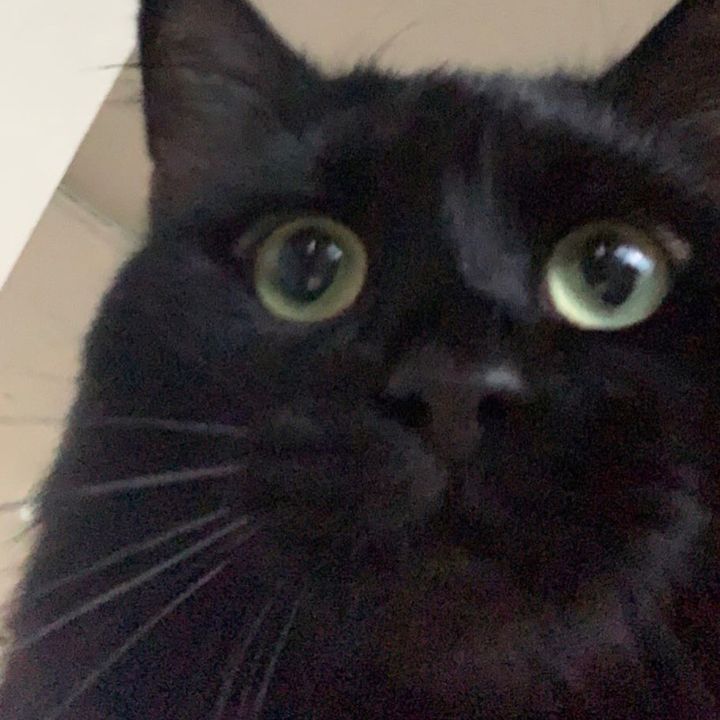 Profile Picture of Adam (@adamccle) on Tiktok