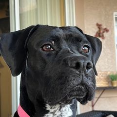 Profile Picture of kimberlydarrow (@kimberlydarrow) on Tiktok