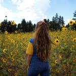 Profile Picture of Sam Doran Photography (@samdoranphotography) on Instagram