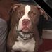 Profile Picture of Joshua Newton (@joshua.newton.566790) on Facebook