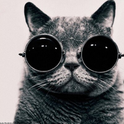 Profile Picture of Julia Pascual (@juliapascual) on Twitter