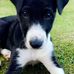 Profile Picture of Sam Bradley (@sam.bradley.376695) on Facebook