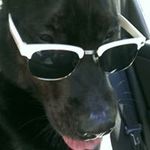 Profile Picture of James Danforth (@danforthjames) on Instagram