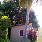 Profile Picture of Fabian Hardy (@fabian.hardy.980) on Instagram