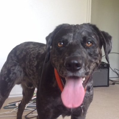 Profile Picture of Michael Amerson (@MpaulAmerson) on Twitter