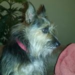 Profile Picture of Phyllis Benson (@phyllisbenson48) on Instagram