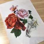 Profile Picture of Marcus Kong (@marcus.kong922) on Instagram