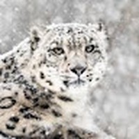 Profile Picture of Hollee Freeman (@hollee-freeman-1) on Quora