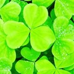 Profile Picture of Aurora bona (@le_nostre_risate) on Instagram