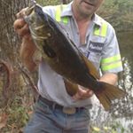 Profile Picture of Buddy Campbell (@buddy.campbell.946) on Instagram